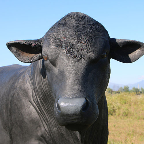 vache Angus noir black 150355 nlcdeco nlc deco