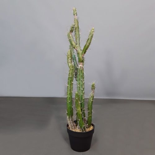 Faux cactus nlcdeco