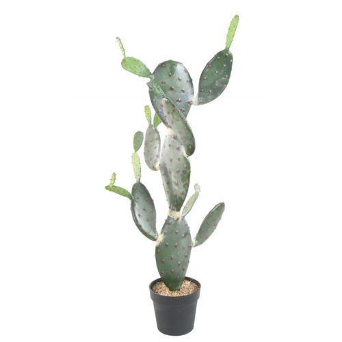 cactus-plat-120cm nlcdéco NLC DECO