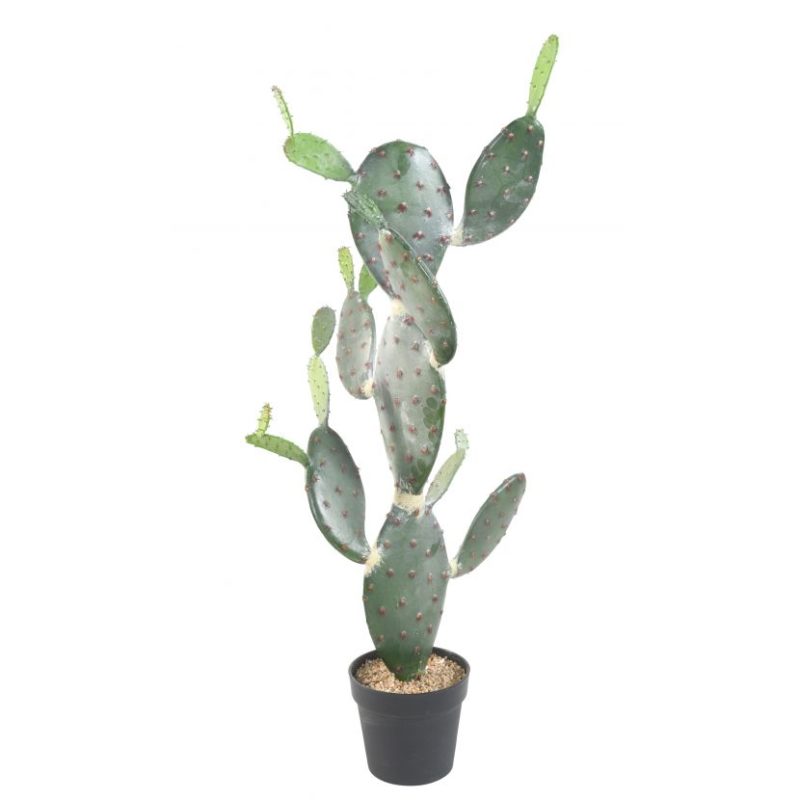 cactus-plat-120cm nlcdéco NLC DECO