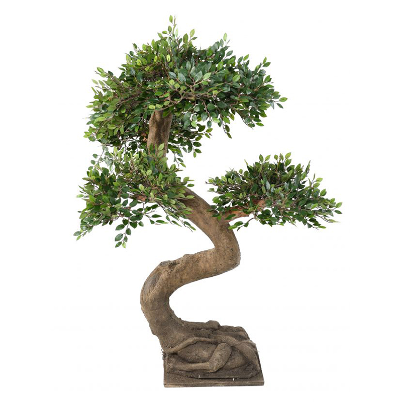 orme-bonsai nlc déco NLCDECO
