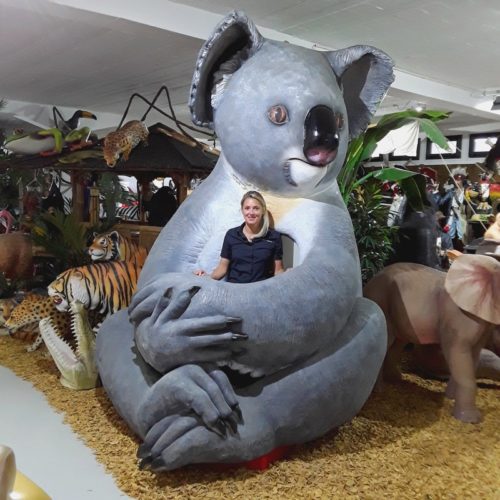 photo avec un koala nlcdeco