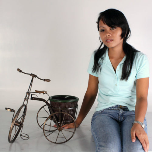 vélo tricycle avec panier BIROB nlc déco NLC DECO (1)