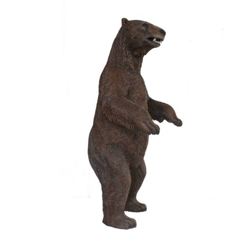 Grizzly-Bear-Standing-ours-brun-debout-nlcdeco-.jpg