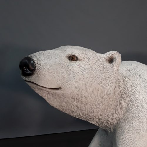 Tête de l'ours polaire nlcdeco