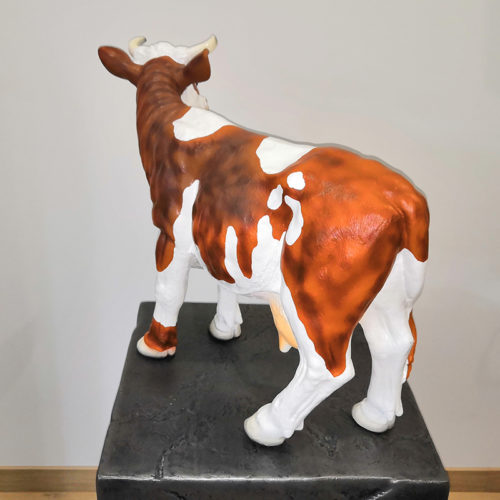 Vache moyenne – Image 4
