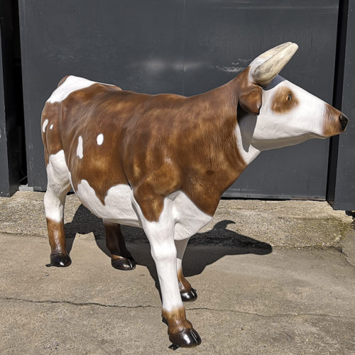 Vache marron et blanche – Image 2