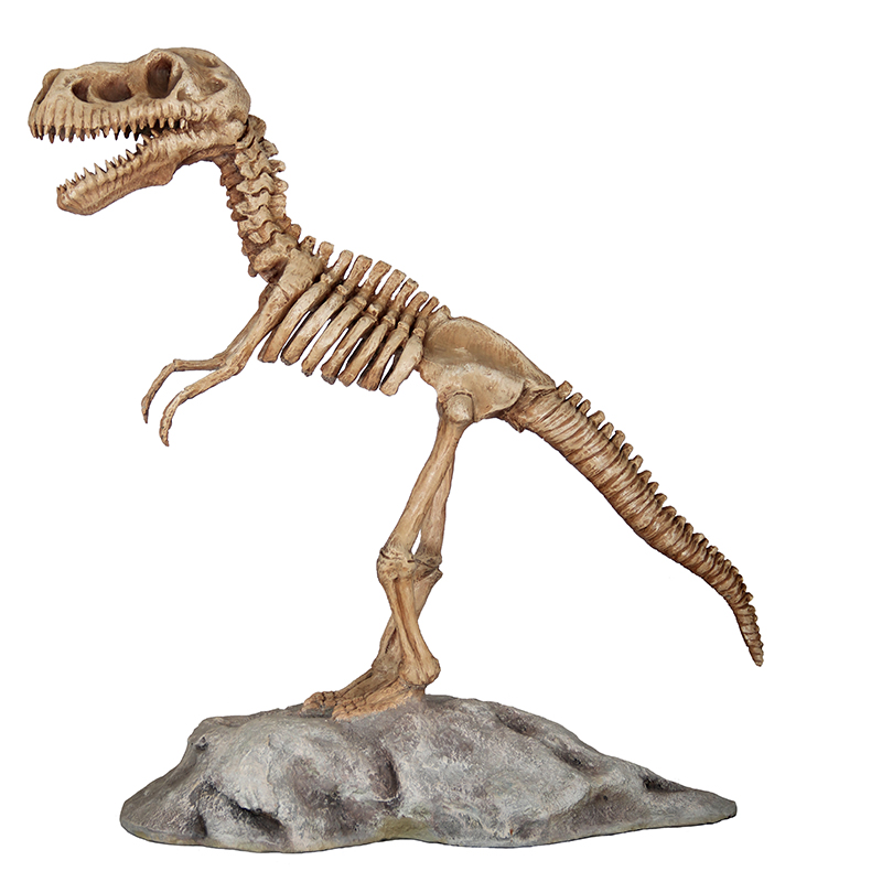 Squelette de dinosaure sur socle NLC DECO