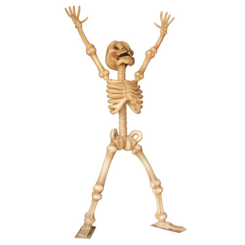 Happy Skeleton squelette happy nlcdeco