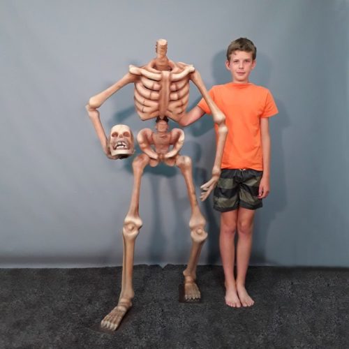 Squelette sans tête  nlcdeco