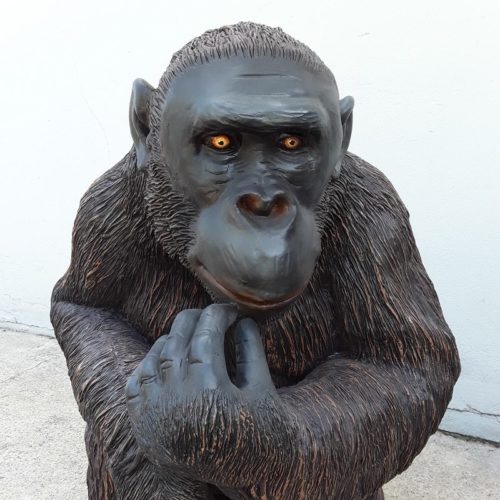 Chimpanzé-penseur-nlcdeco-.jpg
