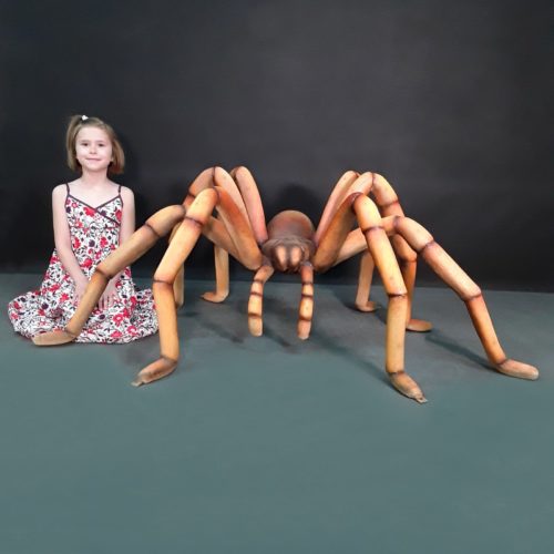araignée gigantesque nlcdeco