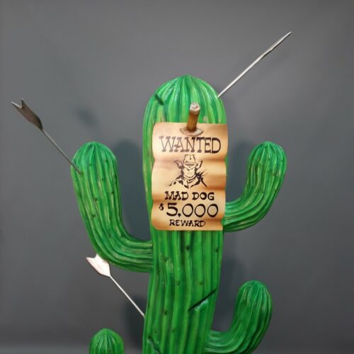cactus humoristique avis de recherche nlcdeco