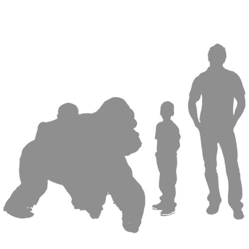 gorille avec son petit animaux en résine nlcdeco