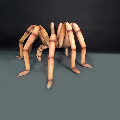 reproduction araignée géante nlcdeco