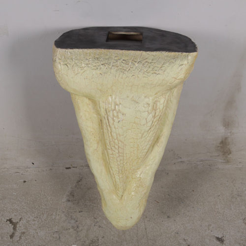 Trophée crocodile – Image 8