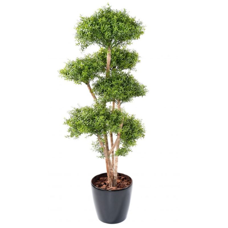10427-71 eucalyptus-m-tree-150 nlcdeco
