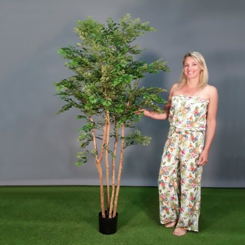 acacia artificiel 180 cm