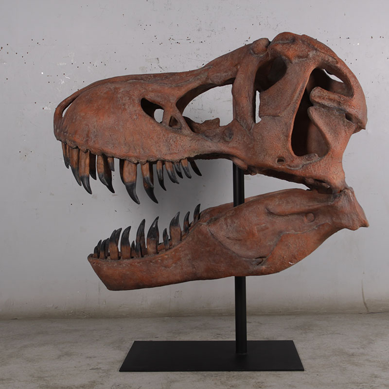 180150 Squelette tête de T-rex dinosaure nlcdeco animlaux en résine décoration