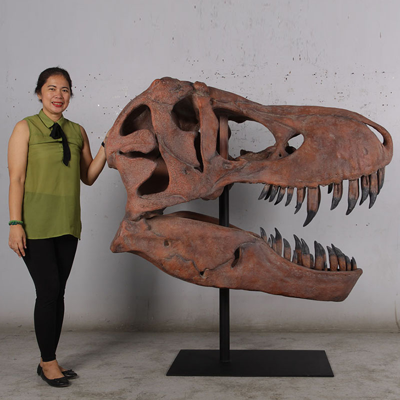 180150 Squelette tête de T-rex dinosaure nlcdeco animlaux en résine décoration