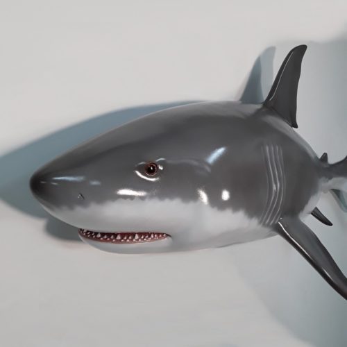Reproduction requin nlcdeco
