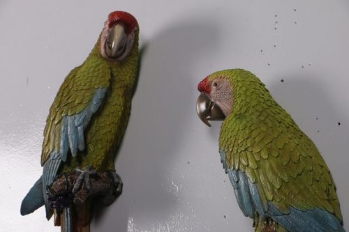 perroquet-aras-vert-duo-nlcdeco-animaux-tropicaux-en-résine-vue-gauche.jpg