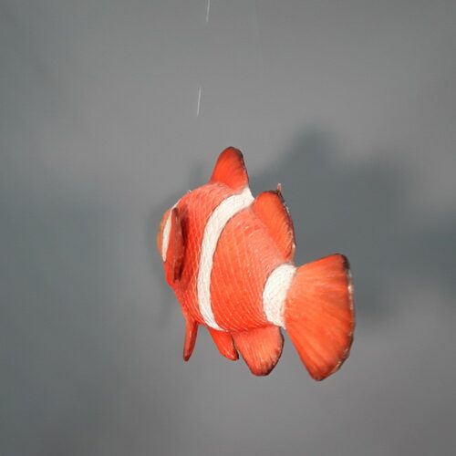 reproduction poisson clown à suspendre nlcdeco
