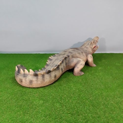 Alligator d'Amérique nlcdeco