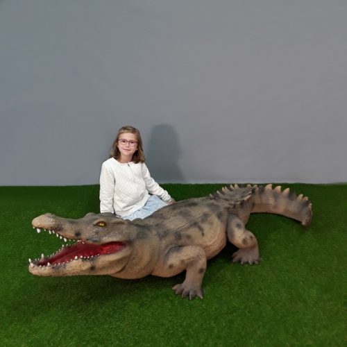 Alligator reptile carnivore nlcdeco