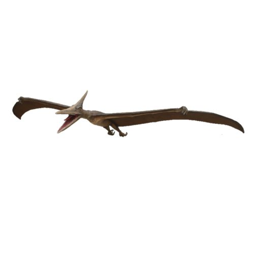 Pterosaur-nlcdeco.jpg