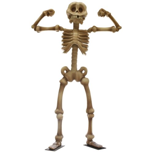 Squelette-costaud-nlcdeco.jpg