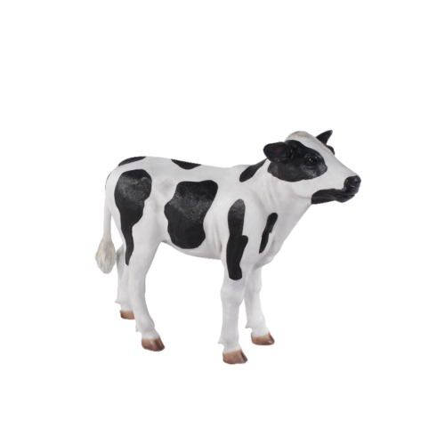 calf-holstein-nlcdeco.png