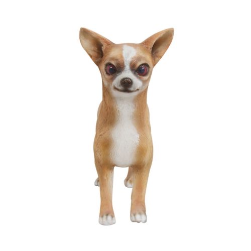 Chihuahua-Petit-chien-nlcdeco.jpg