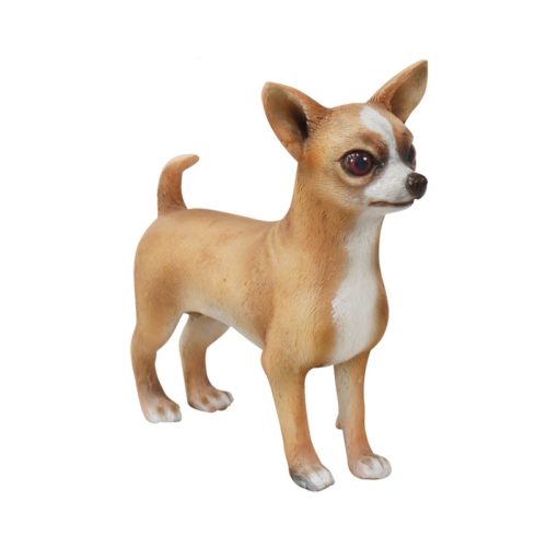 Chihuahua-chien-petit-nlcdeco.jpg