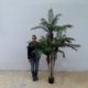 Palmier-3-troncs-plantes-artificielles-nlcdeco-.jpg