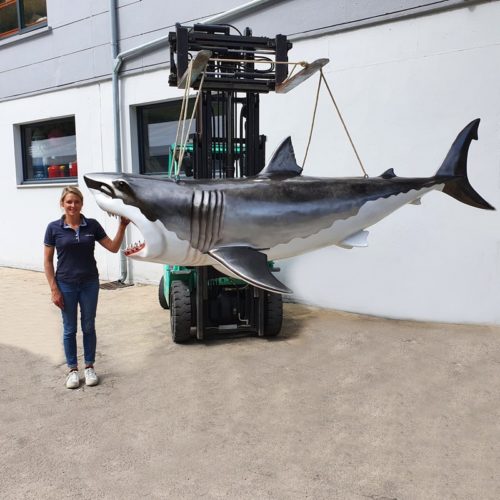 Reproduction grand requin