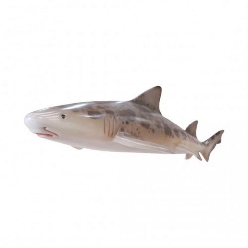 Reproduction requin léopard nlcdeco