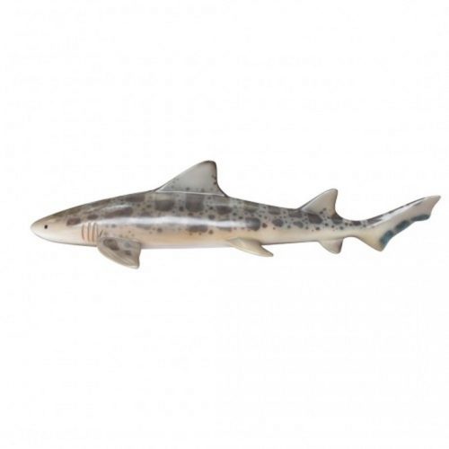 Requin léopard nlcdeco