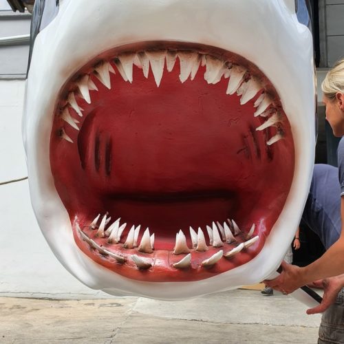 mâchoire grand requin blanc nlcdeco