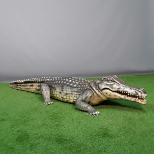 reproduction crocodile nlcdeco