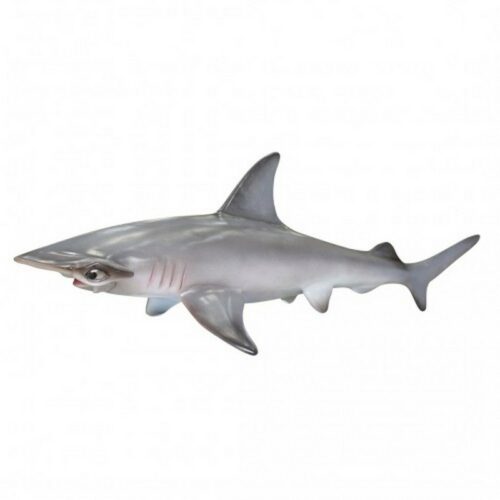 reproduction résine requin marteau 120 cm de long nlcdeco
