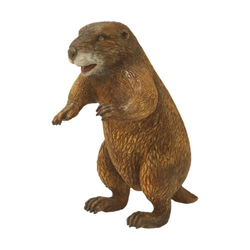 Marmotte-nlcdeco.jpg