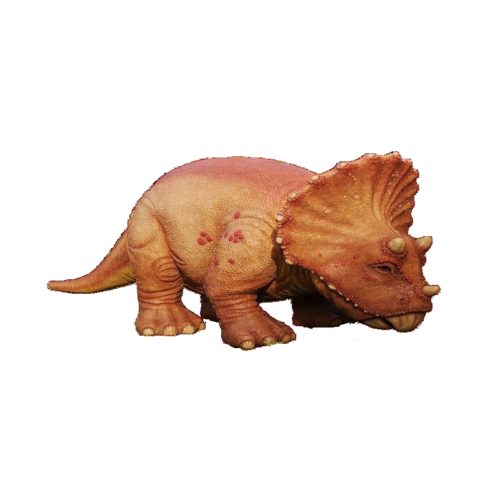bébé-triceratops-dinosaures-nlcdeco.jpg