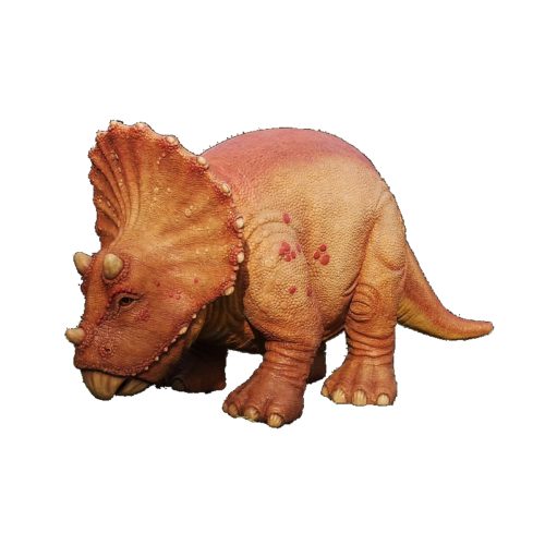 bébé-triceratops-nlcdeco.jpg