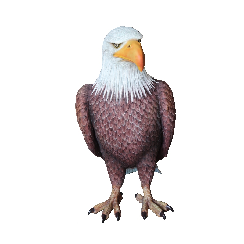 AMERICAN EAGLE aigle nlcdeco