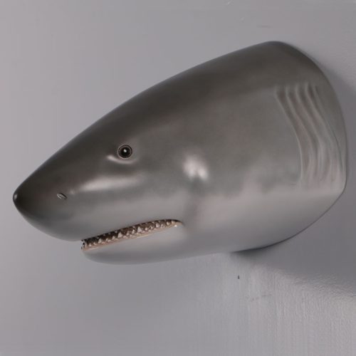 Tête de requin blanc nlcdeco