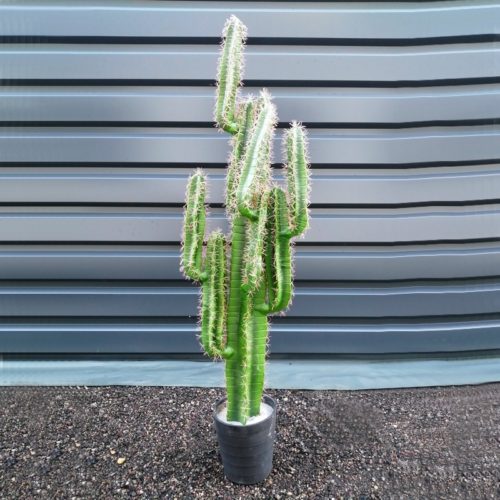 cactus artificiel 150cm nlcdeco