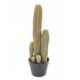 cactus factice décor désert nlcdeco