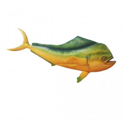 dolphinfish Mahi Mahi nlcdeco