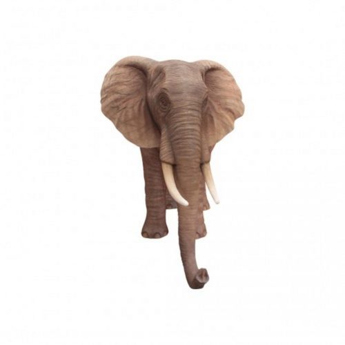 Elephant d'Afrique nlcdeco
